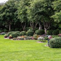Healthy and beautiful trees and shrubs in Tulsa.